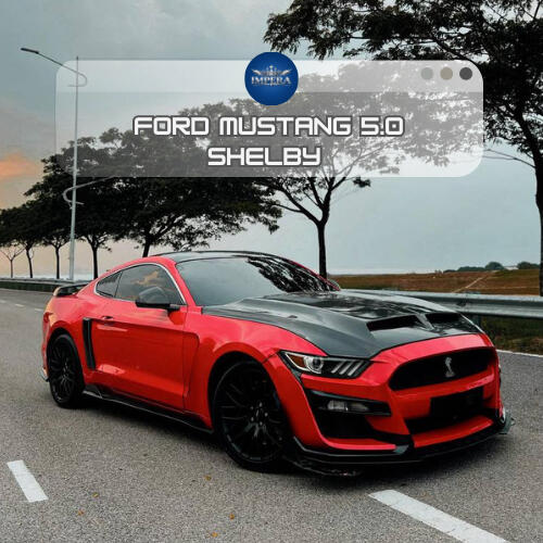 FORD MUSTANG 5.0 SHELBY